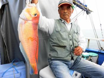 鯛紅丸 釣果