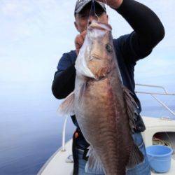 鯛紅丸 釣果