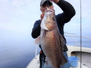 鯛紅丸 釣果