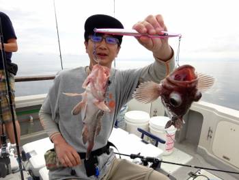 鯛紅丸 釣果