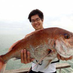 鯛紅丸 釣果