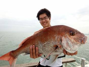 鯛紅丸 釣果