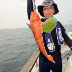 鯛紅丸 釣果