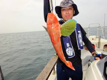 鯛紅丸 釣果