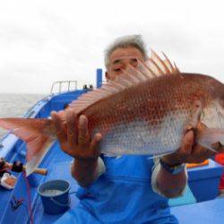 鯛紅丸 釣果