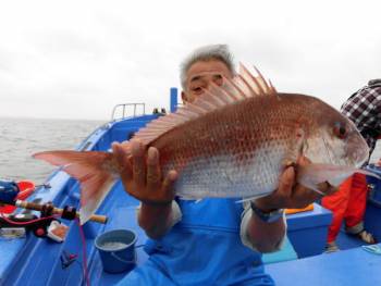 鯛紅丸 釣果