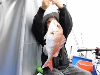 鯛紅丸 釣果