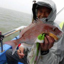 鯛紅丸 釣果