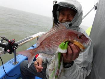 鯛紅丸 釣果