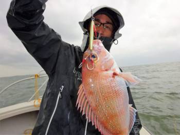 鯛紅丸 釣果