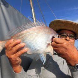 鯛紅丸 釣果
