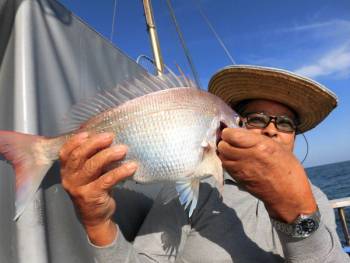 鯛紅丸 釣果