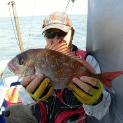 鯛紅丸 釣果