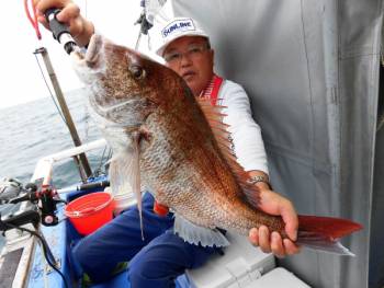 鯛紅丸 釣果