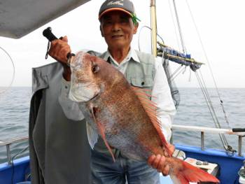 鯛紅丸 釣果
