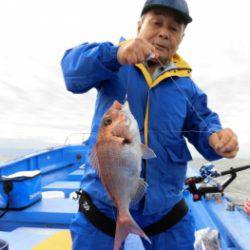 鯛紅丸 釣果