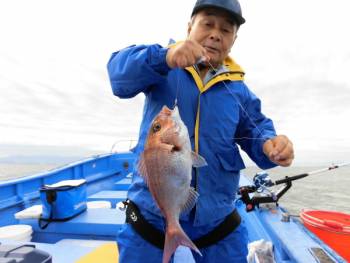 鯛紅丸 釣果