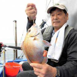 鯛紅丸 釣果