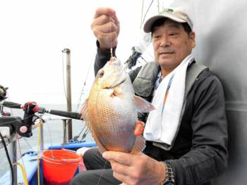 鯛紅丸 釣果