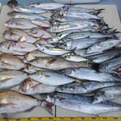 Hit Rush(ヒット ラッシュ） 釣果