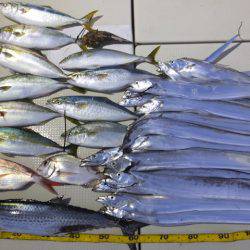 Hit Rush(ヒット ラッシュ） 釣果