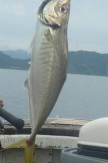 松福丸 釣果