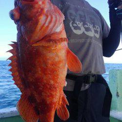 遊漁船 新鋭丸 釣果