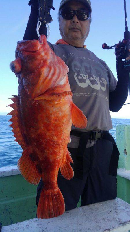 遊漁船 新鋭丸 釣果