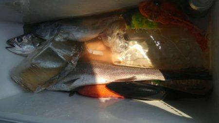 遊漁船 新鋭丸 釣果