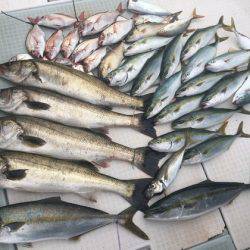 ふじしめ丸 釣果