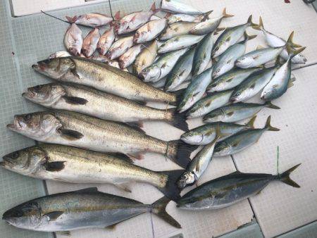 ふじしめ丸 釣果