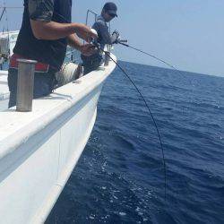 第五慶門丸 釣果