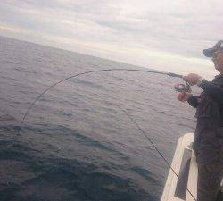 IDATEN（イダテン） 釣果