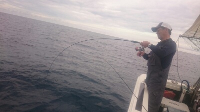 IDATEN（イダテン） 釣果