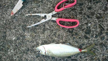 本日も五目達成❕