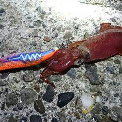 オールリリース(~_~;)