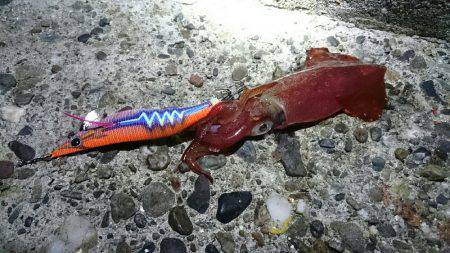 オールリリース(~_~;)