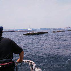 野島沖堤ライトゲーム