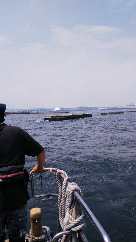 野島沖堤ライトゲーム