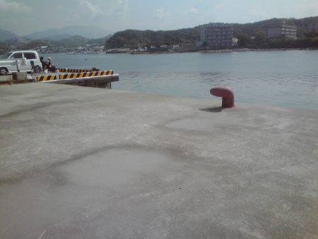 グレ、アイゴ、豆アジ他