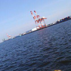 久しぶりの釣行