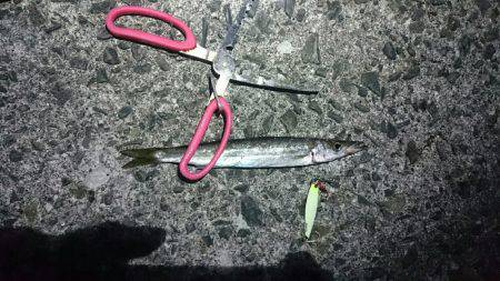 本日も五目達成❕