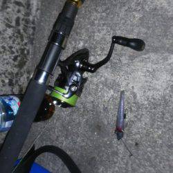 今日は当たりや！