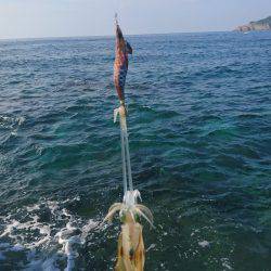 仕事出張でエギング