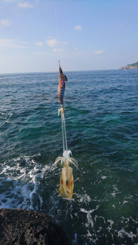 仕事出張でエギング