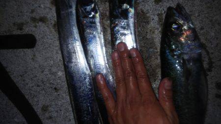 今日は当たりや！