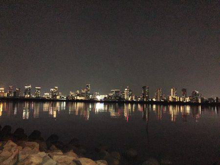 キビレ調査 NO,33