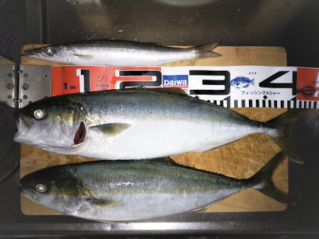 次男に初ツバス