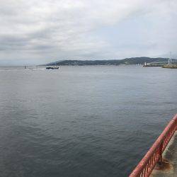 なぜか大漁⁉️2