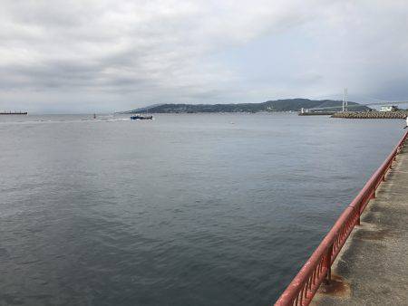 なぜか大漁⁉️2